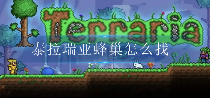 �D��̩�������䳲��ô��