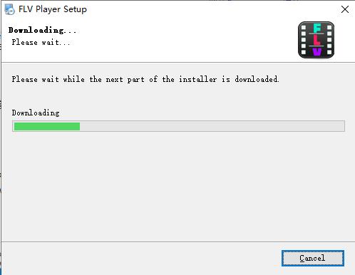 �D��FLV/F4V������
