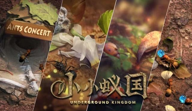 ССρ�������Q�a��ȫ �Y��cdk���Q�a���M����[���D]�DƬ2