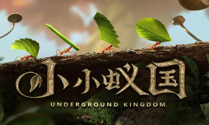 ССρ�����ֹ��Դ�ȫ ССρ���_�ְl(f��)չ�淨���][�D]�DƬ1