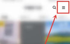 �D���������Ӱ��������� �������Ӱ��ڷ���