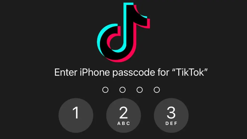 �D��TikTok����ԭ��Ҫ���Ñ��ṩiPhone��(sh��)���ܴa �@�������Ñ����n