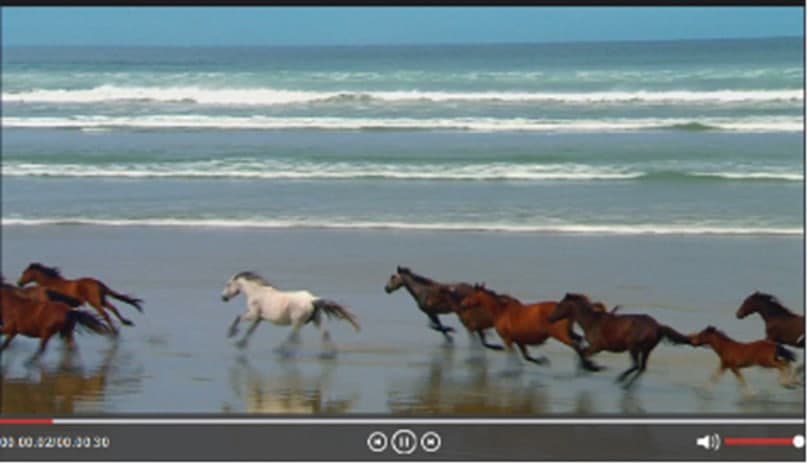 �D������ֱ��